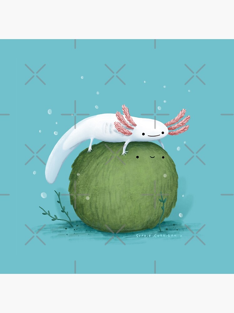 Axolotl on a Mossball by SophieCorrigan