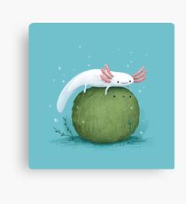 Axolotl on a Mossball Canvas Print