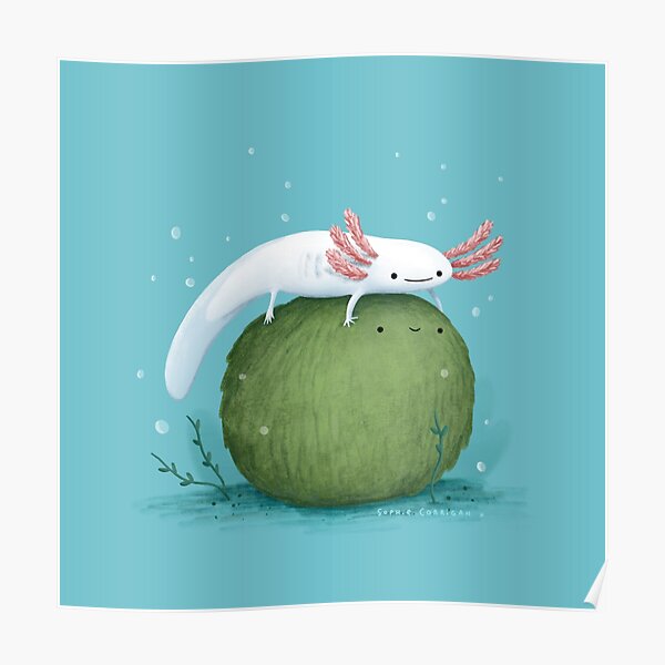 Axolotl on a Mossball Poster