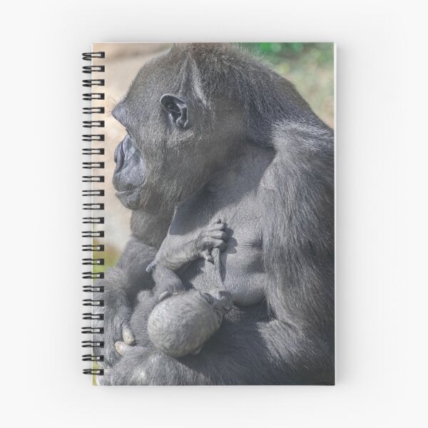 Item preview, Western lowland gorilla female with baby designed and sold by Martin Leber.
