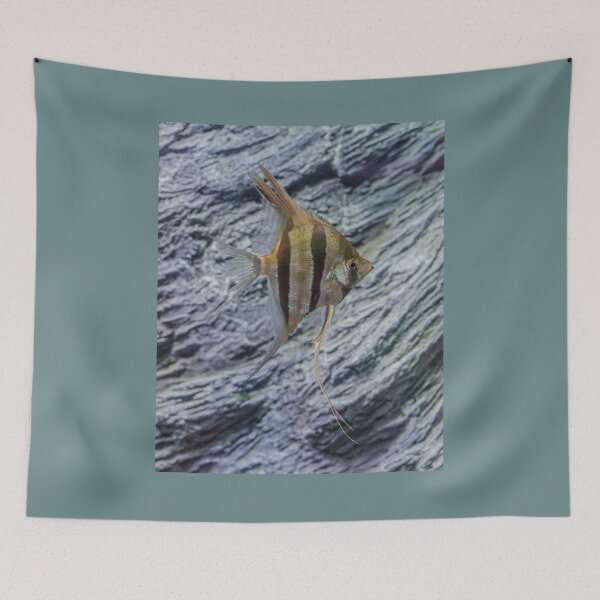 Item preview, Pterophyllum scalare, angelfish designed and sold by Martin Leber.