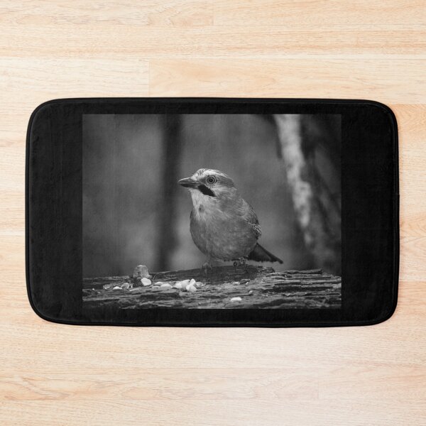 Item preview, That's peanuts said the jay. Eurasian jay in bw designed and sold by Jouko Lehto Photography.
