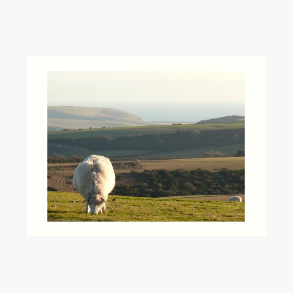 A South Down Scene Art Print