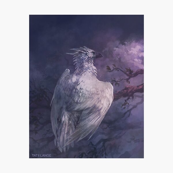 Gloom Photographic Print