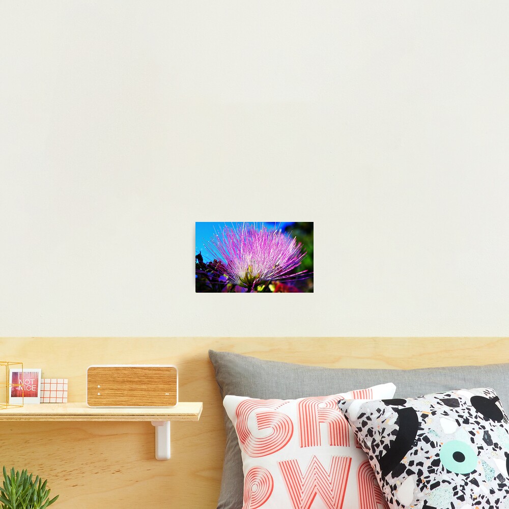 Vista previa del artículo con la obra «Lámina fotográfica», diseñado y vendido por Rinaldo44.
