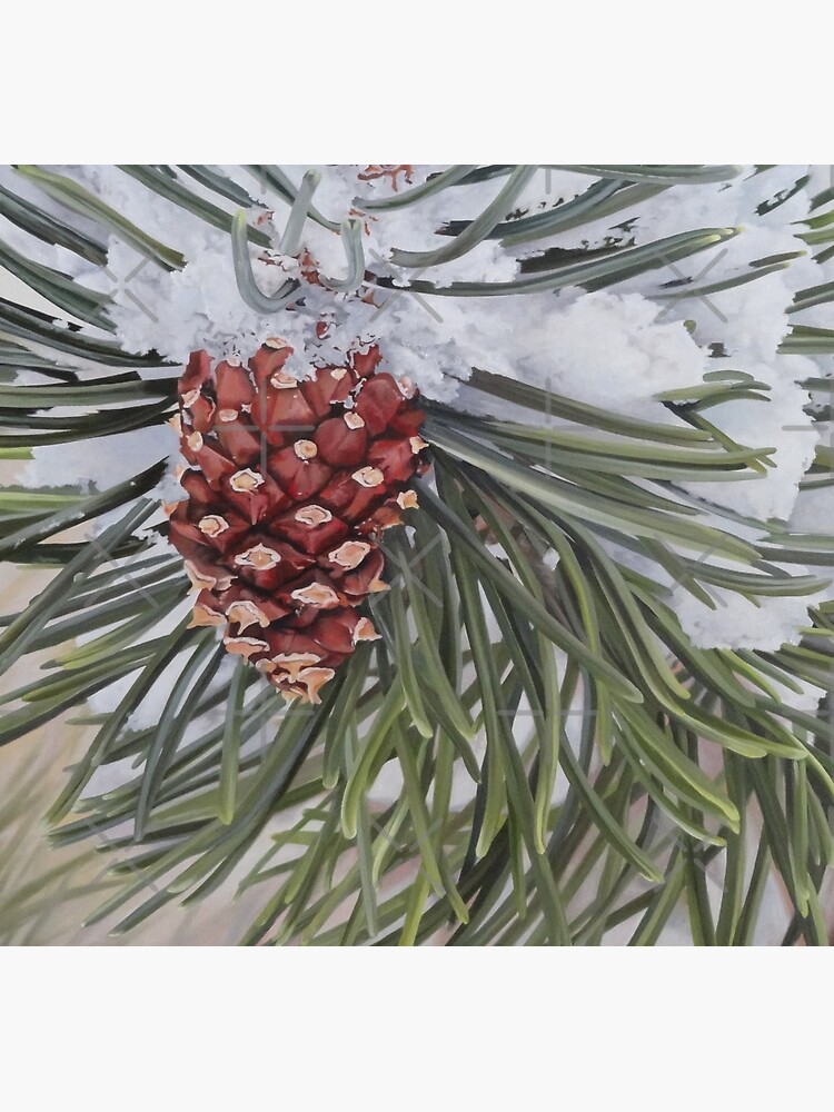 Winter Pine by EmilyBickell
