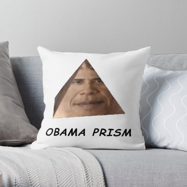 Kissen And Kissenbezüge Obama Prisma Redbubble 8202