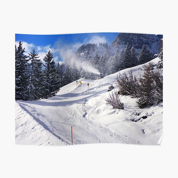 Fresh snow..... Poster