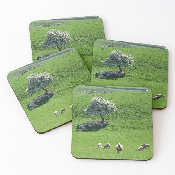 Item preview, A Place in the Shade designed and sold by Kat Simmons.