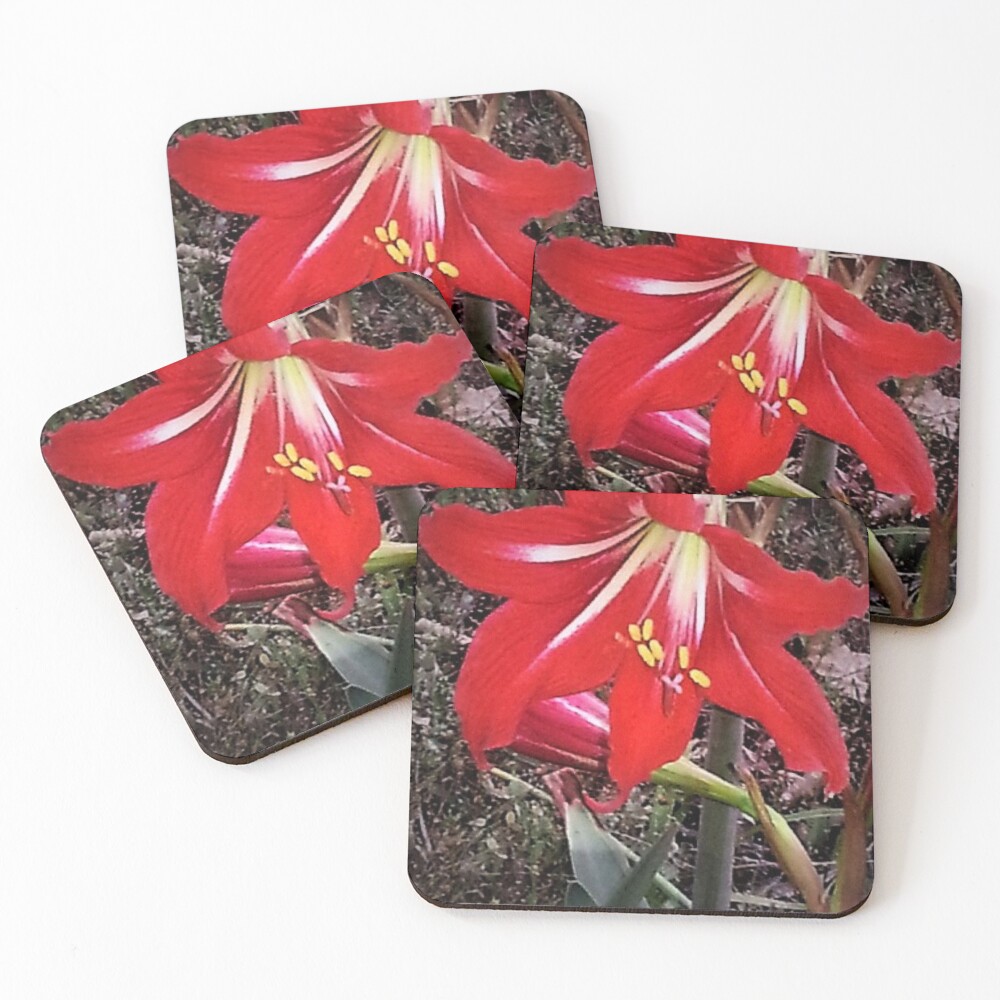 Item preview, Coasters (Set of 4) designed and sold by Rkwkinnard.