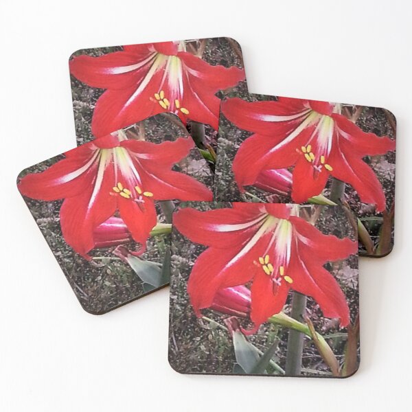 Item preview, In the Red designed and sold by Robin Kinnard.
