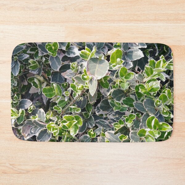Item preview, Euonymus scrub designed and sold by AidaArt.