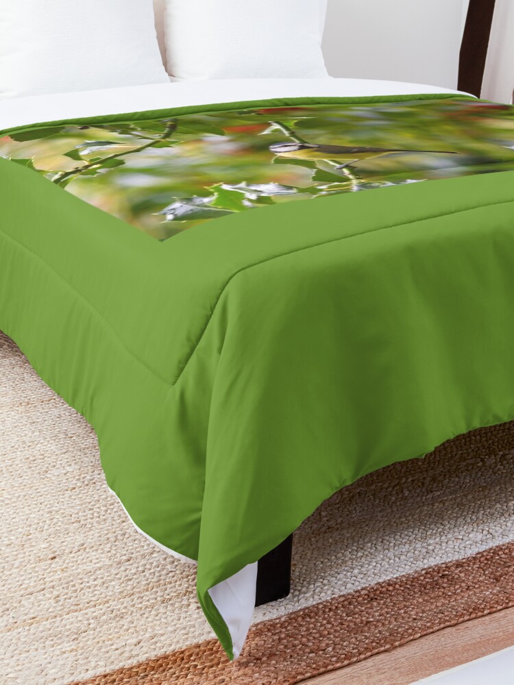 Alternate view of Blue Tit (Cyanistes caeruleus) Comforter