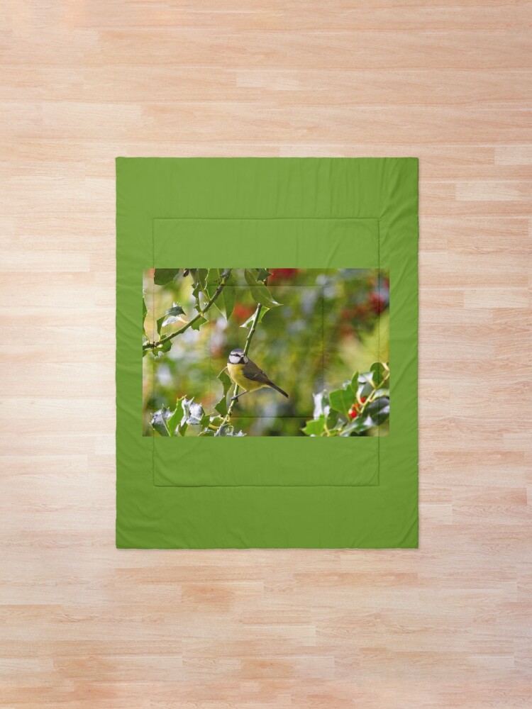 Alternate view of Blue Tit (Cyanistes caeruleus) Comforter