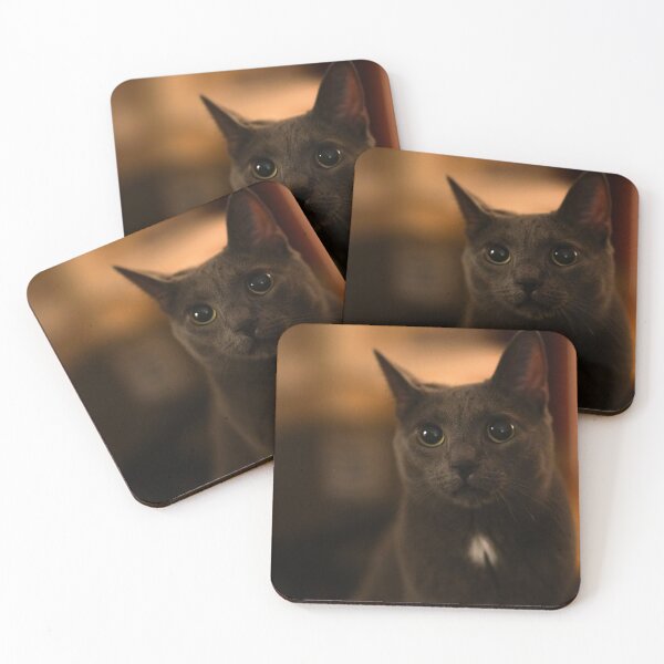 Item preview, Cat named Lucifer designed and sold by krohnemedia.