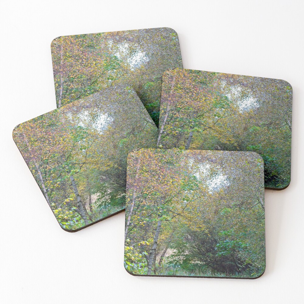 Autumnal Leaf Colours in Woodland Trees Coasters (Set of 4)