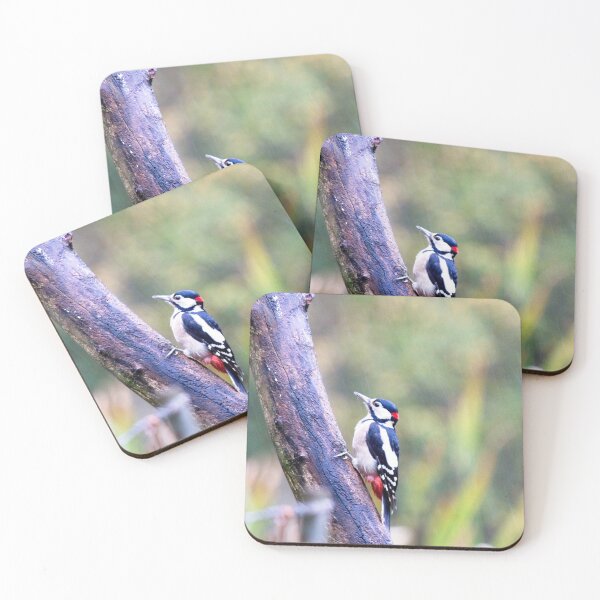 Item preview, Great Spotted Woodpecker (Dendrocopos major) designed and sold by Rob Cole Photography.
