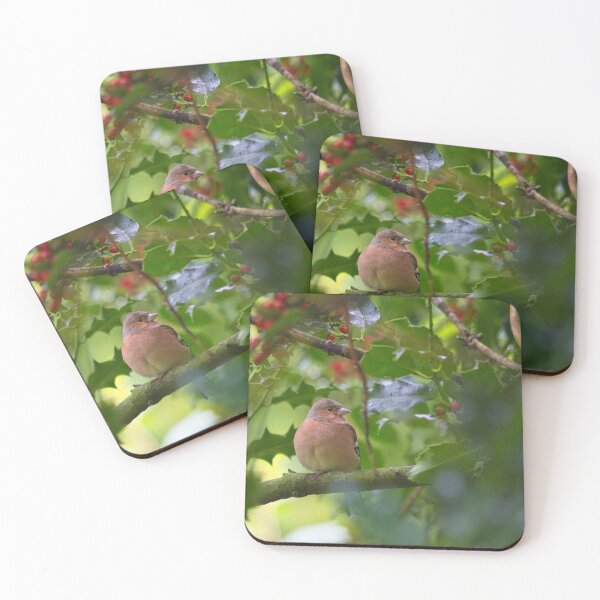 Item preview, Chaffinch (Fringilla coelebs) designed and sold by Rob Cole Photography.