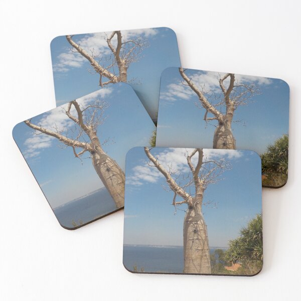 Item preview, Boab Tree - Adansonia gregorii  designed and sold by lezvee.