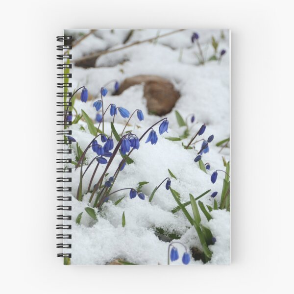 Item preview, Scilla blue flowers under the snow designed and sold by mrivserg.