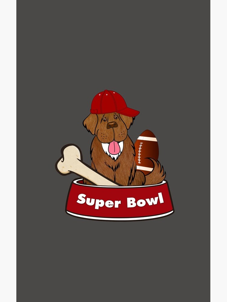Ready for the Superbowl Dad! by itsmechris