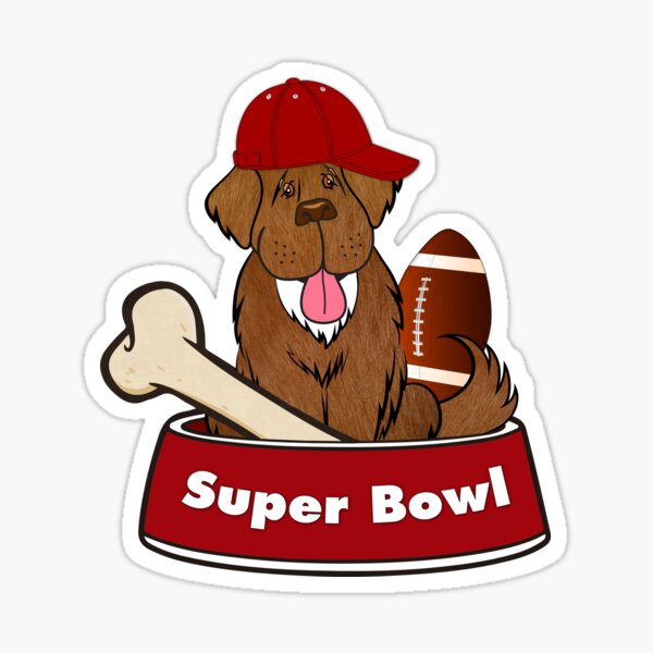 Ready for the Superbowl Dad! Sticker