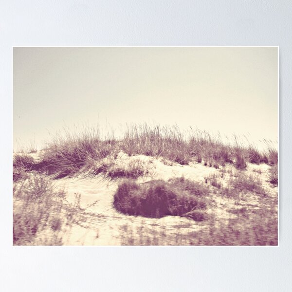 My Santa Monica Dream Poster
