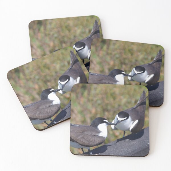 Item preview, Getting To Know You (Terns on Penguin Island) designed and sold by lezvee.