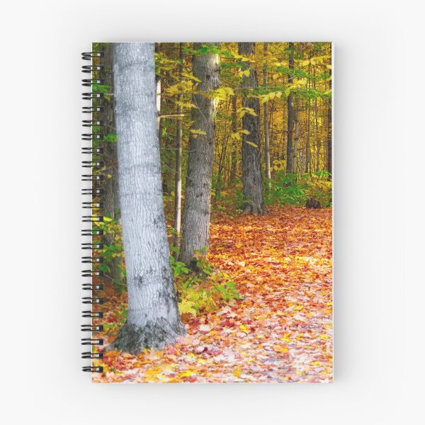 Item preview, Fall Foliage designed and sold by Yannik Hay.