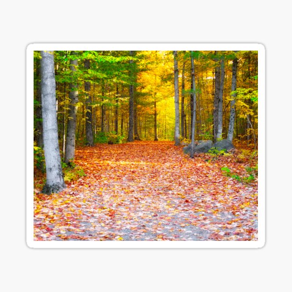 Item preview, Fall Foliage designed and sold by Yannik Hay.