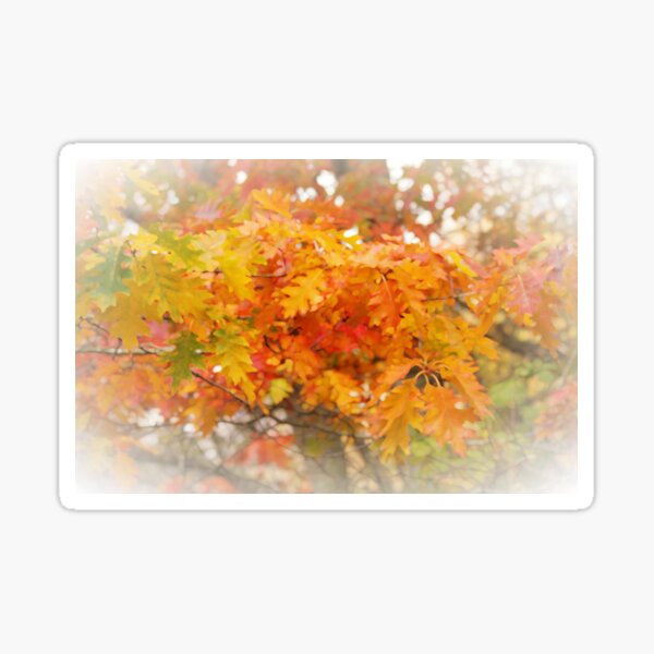 Item preview, Vignetted Autumn Leaves: Colors of Fall designed and sold by walkswithnature.