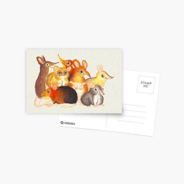 Elephant shrew crew Postcard