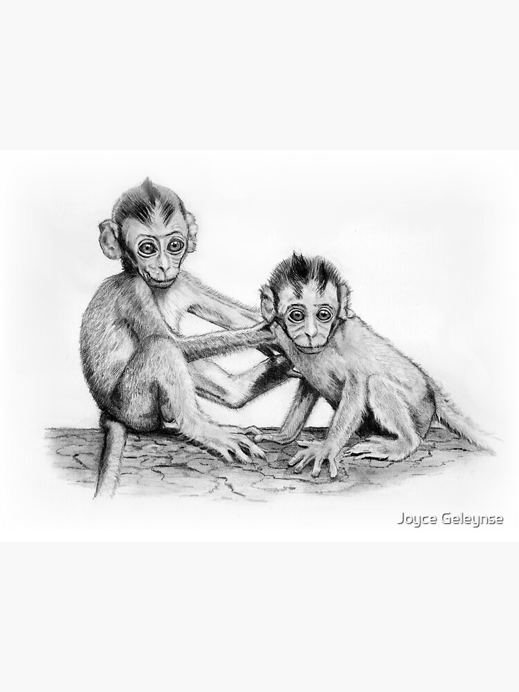 Sketch Of Monkey Stock Illustration - Download Image Now - Drawing -  Activity, Drawing - Art Product, Gorilla - iStock
