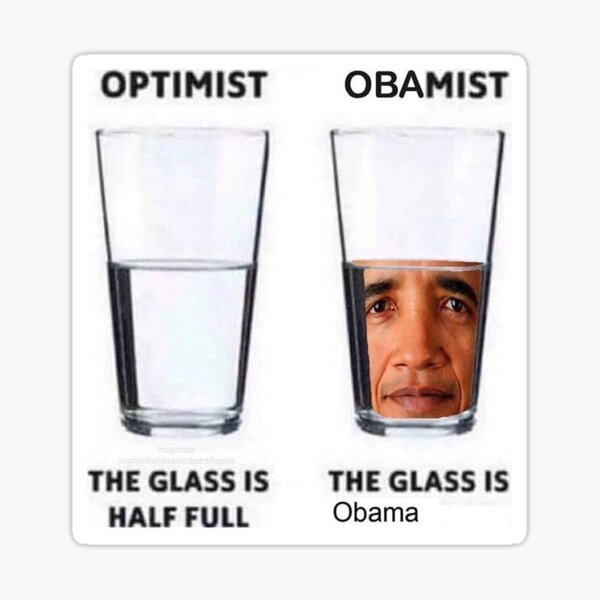 OBAMA PERSPECTIVE Sticker