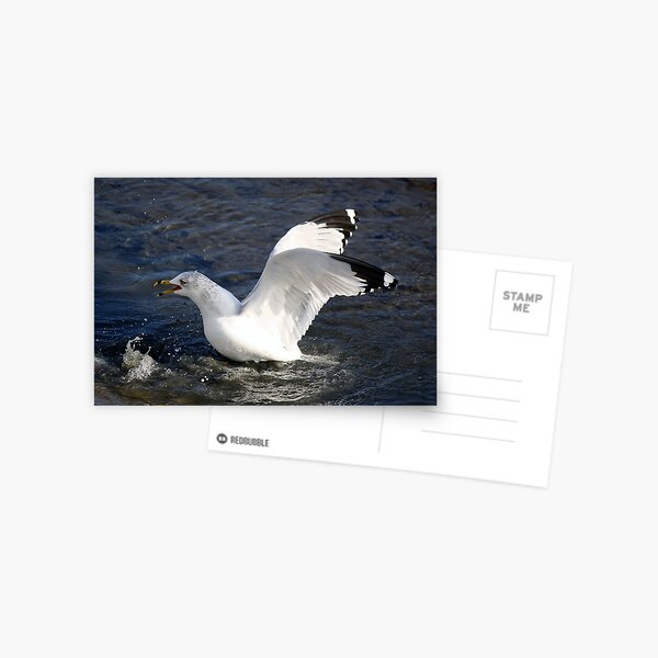 Item preview, WHAT designed and sold by Paulette1021.