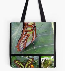 Butterfly (South America) ~ Malachite Tote Bag