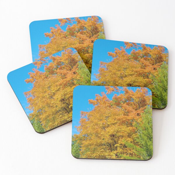 Item preview, Bursting Orange Autumn designed and sold by SRosuphotos.