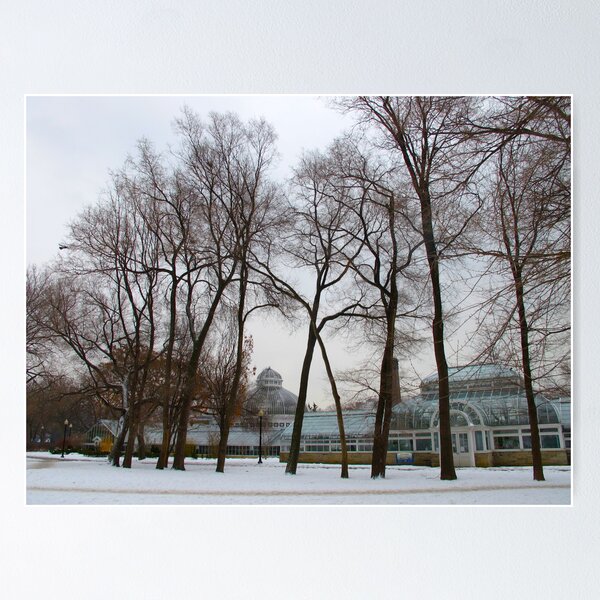 Item preview, A winter garden designed and sold by MarianBendeth.