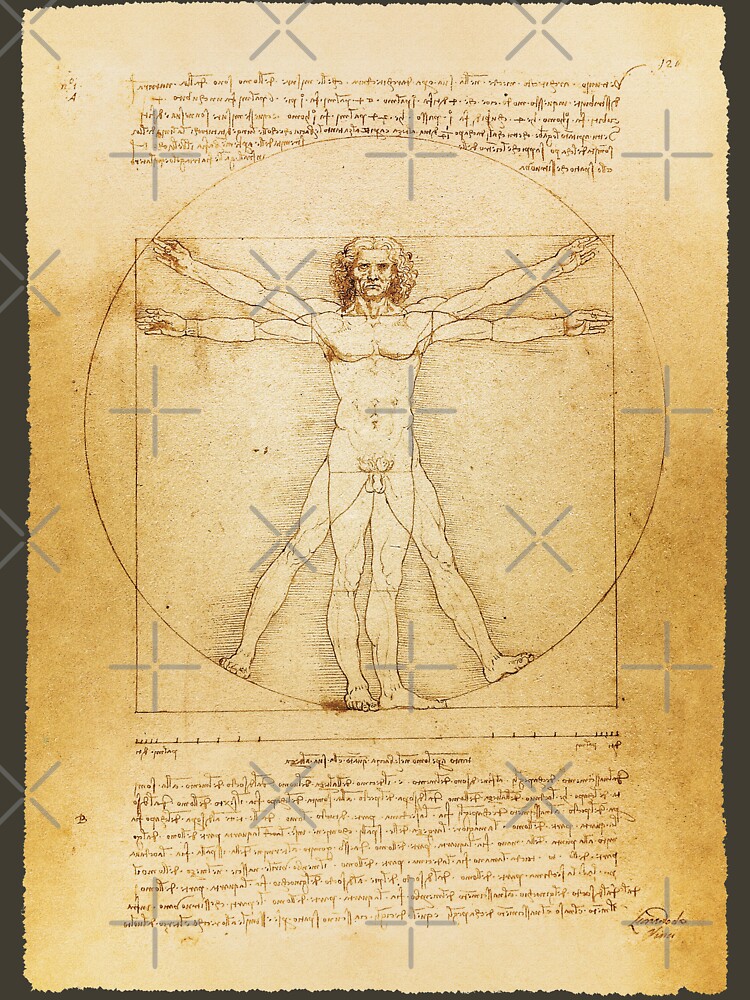 "Leonardo da Vinci Vintage sketch The Vitruvian Man The proportions of