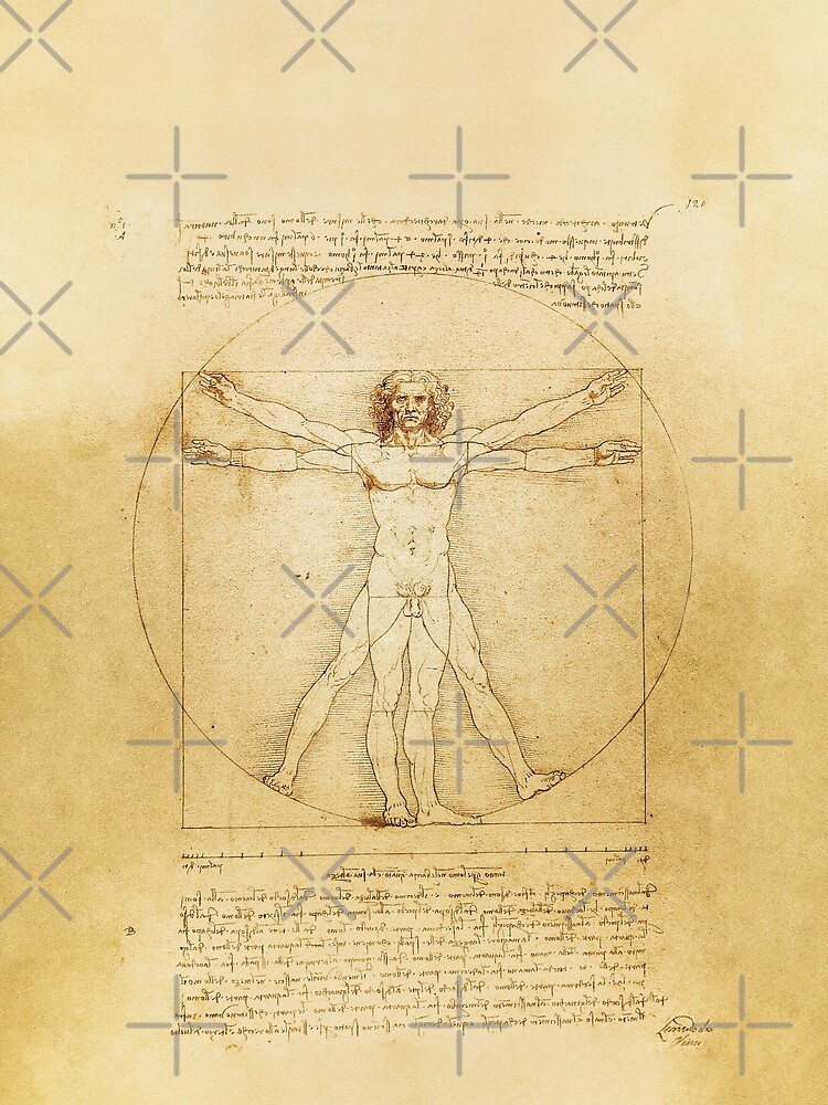 leonardo da vinci human form