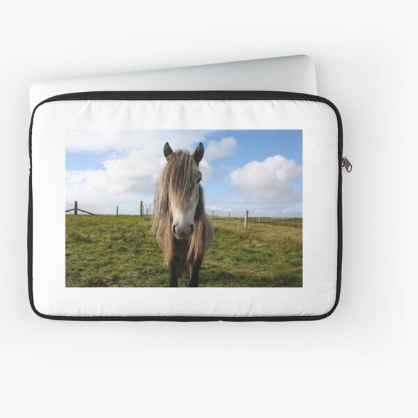 Aperçu de l'œuvre Eriskay poney créée et vendue par JefM.