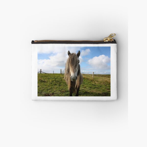 Artikelvorschau, Eriskay Poney entworfen und verkauft von JefM.