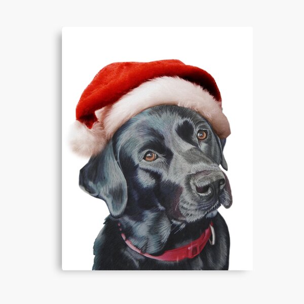 Black Labrador at christmas Canvas Print