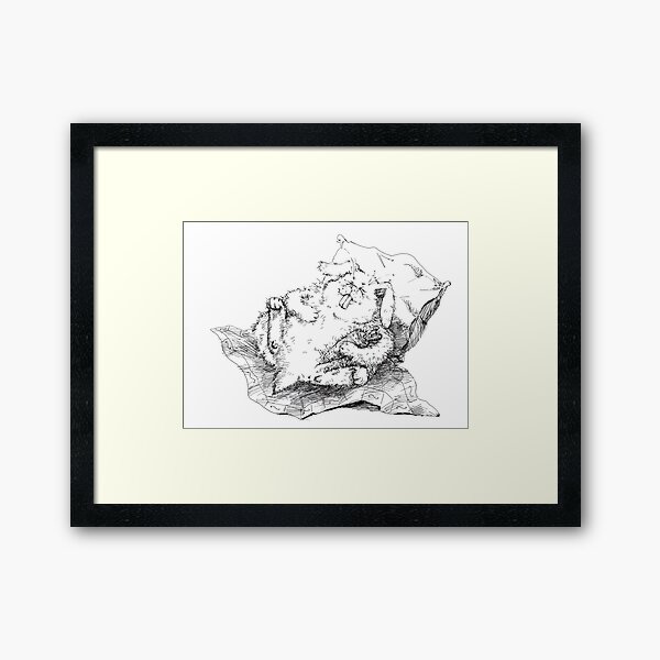 Framed Art Print