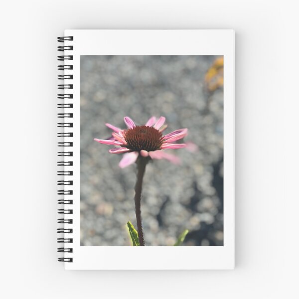 Item preview, Flower cornflower pink 102019 designed and sold by mandalafractal.