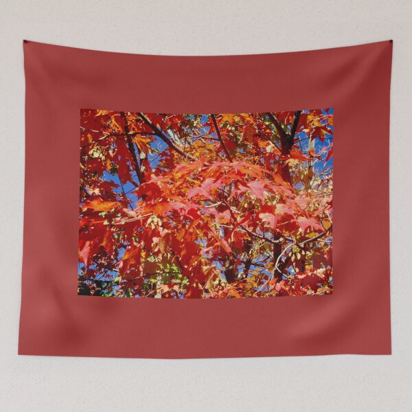 Item preview, Red Maple Leaves designed and sold by Shulie1.