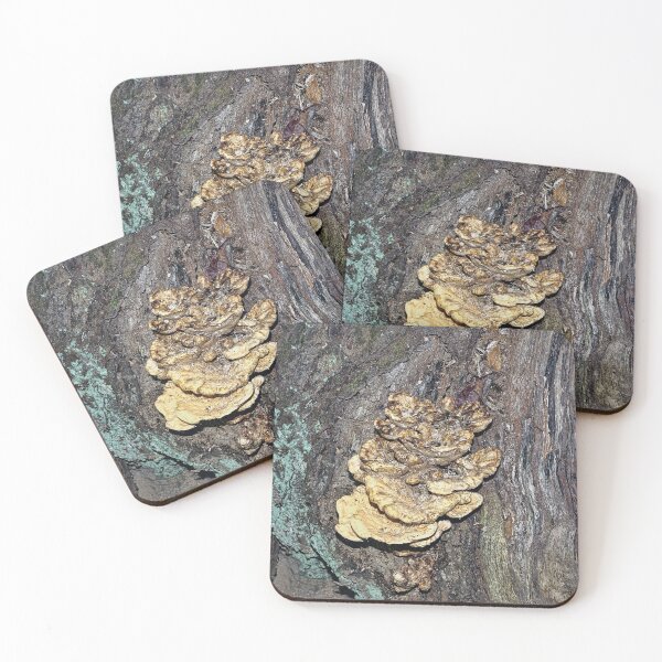 Item preview, Animal, Vegetable or Mineral?  designed and sold by Lanis Rossi.
