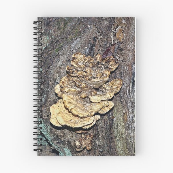 Item preview, Animal, Vegetable or Mineral?  designed and sold by Lanis Rossi.