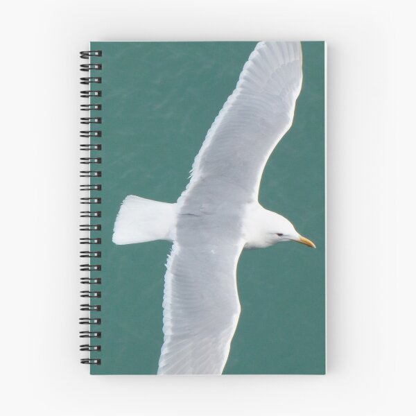 Item preview, Arctic Gull designed and sold by DPalmer.