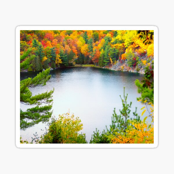 Item preview, Lake Pink in Autumn designed and sold by Yannik Hay.